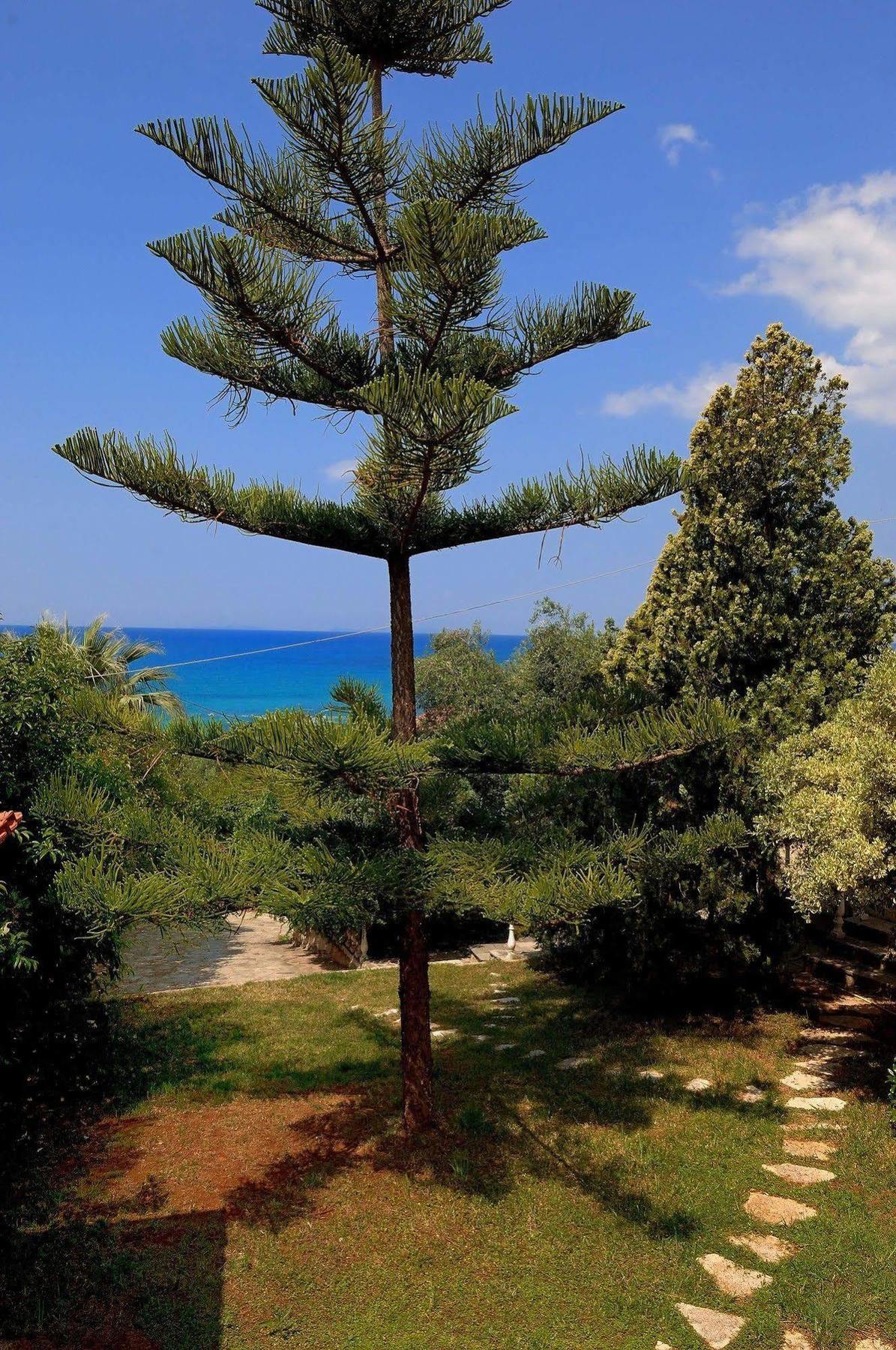 Villa Vanda Lygia  Esterno foto